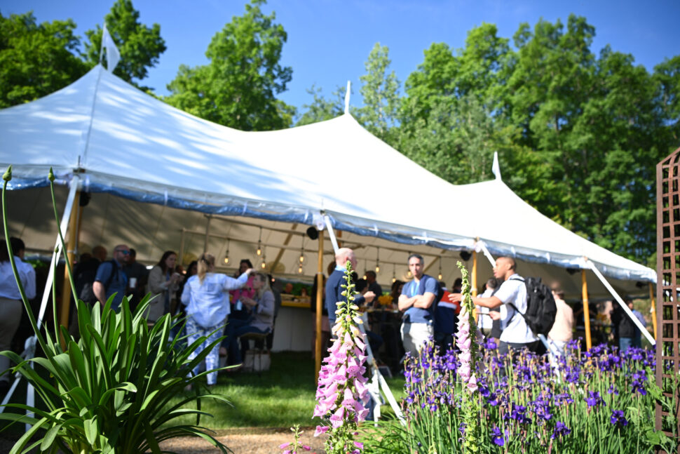 Tented Company Picnic late summer corporate event ideas