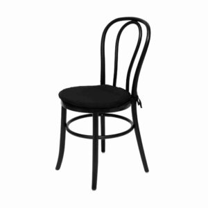 Resin Bentwood Chair