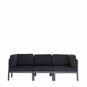 Finn Black Lounge Couch with Cane