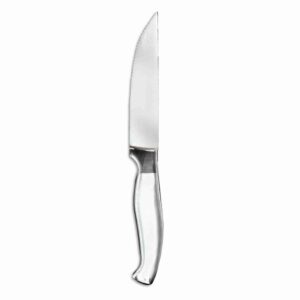 Silver Steak Knife
