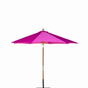Umbrella Fuchsia Including Base